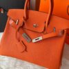 Bolsa Hermes Birkin 30 - Imagem 62