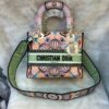 Bolsa Dior Lady-D Lite Média - Rosa/Verde