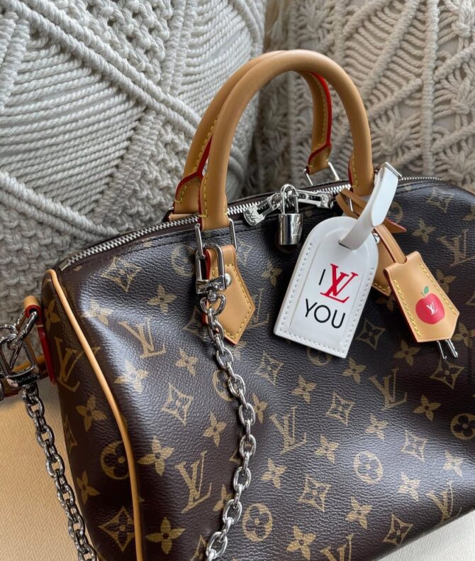 Bolsa LV Speedy Soft 30 Dark - Imagem 10