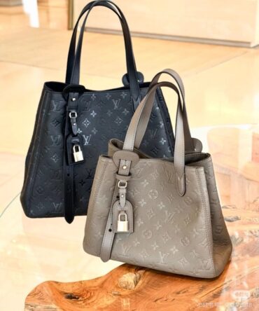 Bolsa LV All In One PM
