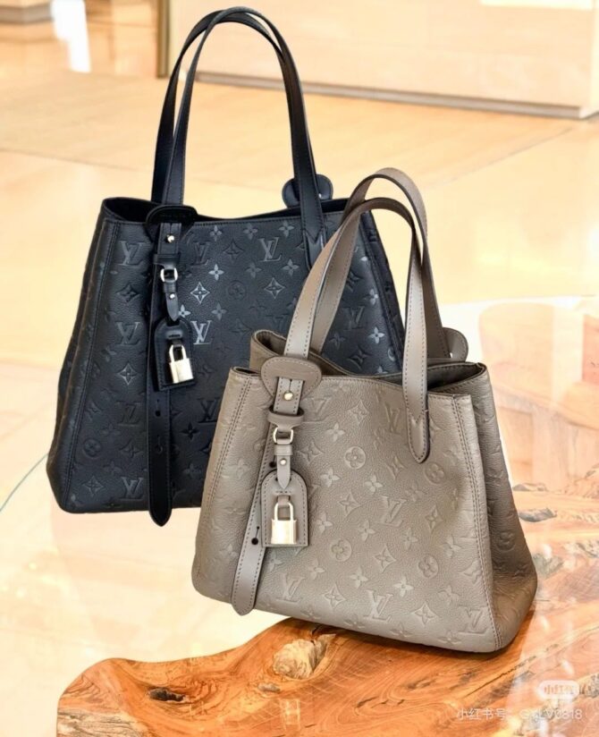 Bolsa LV All In One PM