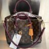 Bolsa LV Speedy Solft 30 Solft Celebration -Marrom/Vinho